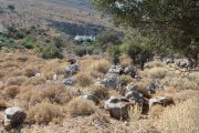 Kokkino Chorio Großes Grundstück mit Meerblick Grundstück kaufen